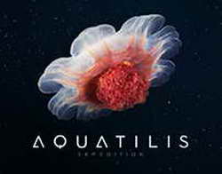 Нурлан Сабуров впервые вышел на сцену после того, как ему запретили въезд в Россию на 50 лет