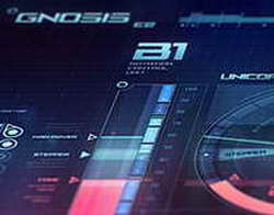 Брайн Идову: В России нет системного расизма, как в Америке. Там проблема из-за истории рабства и сегрегации. В России этого дела нет