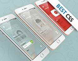 Жителя Архангельска приговорили к 12 годам за шпионаж