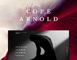 Представлен iQOO Neo 11  Snapdragon 8 Elite и 7500 мАч за $366