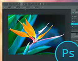 Едят макароны и ездят на электричке: мать детей Павла Дурова Ирина Болгар показала, как выживает на фоне судов с ним за 145 млн долларов