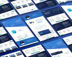 Почему птицы не сталкиваются и не врезаются друг в друга, даже летая в стае
