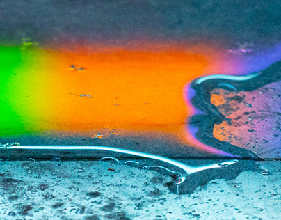 Премьер Британии Бернем отказался селить собаку в резиденцию из-за кота Ларри