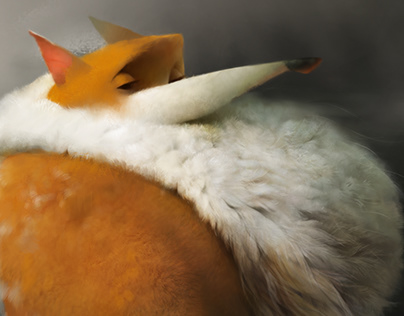 Представлены смарт-часы Pebble Round 2. Возвращение легенды с дисплеем E-Ink и автономностью до 14 дней